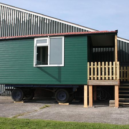 Boerenchalet Dirk, Minicamping De Grutte Earen Burum Exteriör bild